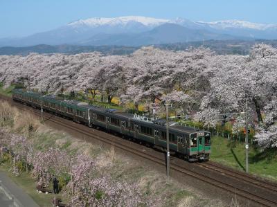 しばた千桜橋