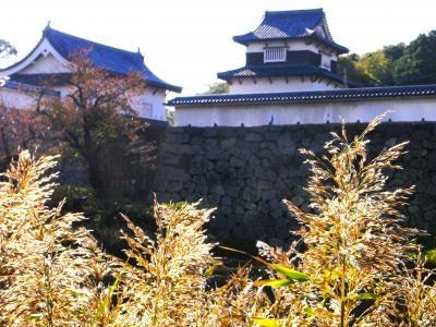 連立式の大天守を観てみたい！～　鶴舞公園・福岡城跡