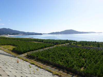 高田松原海水浴場