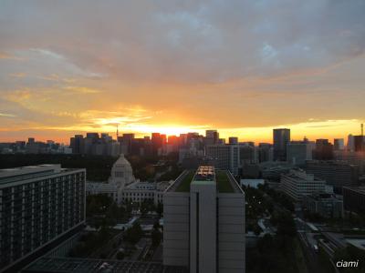 スタッフの雰囲気がいい