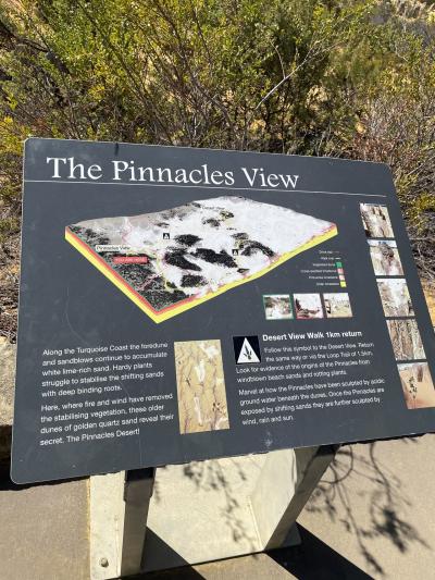 ここは昔　海だったらしい。