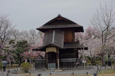 桜や紅葉の時期は夜間ライトアップもある京都駅近くの東本願寺の飛地庭園