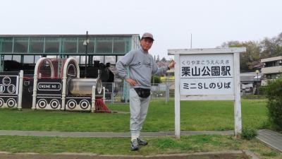 公園の桜が、とてもきれいでした。