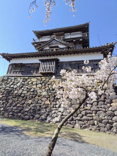 国宝目指してます