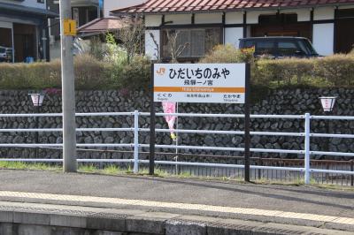 臥龍桜に隣接した無人駅です。駅構内にもりっぱな１本桜があります。