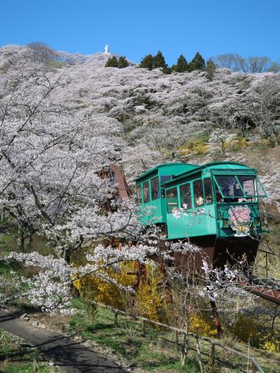 桜が満開の時期には素晴らしい眺め！