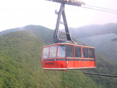 定員101名のゴンドラで標高916mの山頂駅まで全長2,594mを7分で運行して、絶景を見られます