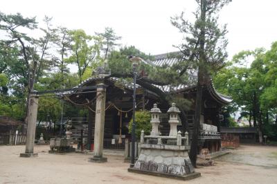 神社の奥の方は神社の境内らしくない荒れ地のようなことになっていて