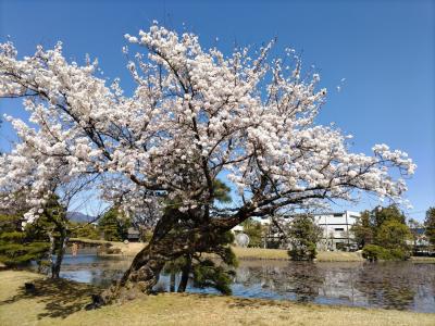 津山藩主の別邸