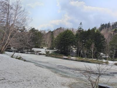 池が凍り入り口にも雪