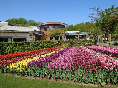 行ってよかったです！