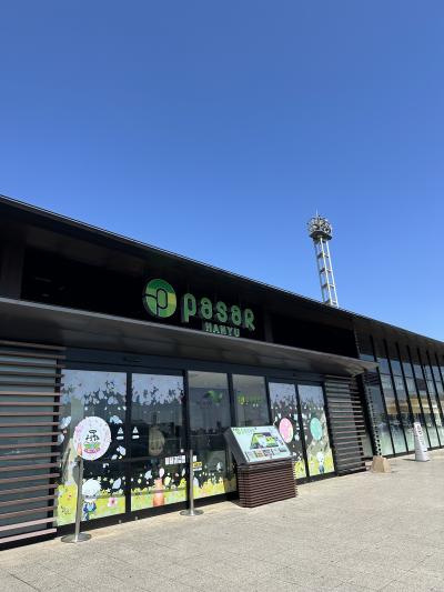 お店がたくさん