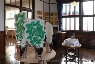 ビーンズ邸に入館（無料）してレトロな建物内の洒落たインテリアや豆類に関する展示を見学しました