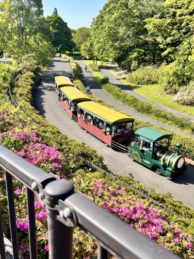 広くて素晴らしい花々でした！！