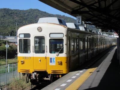 高松築港駅とこんぴらさんがある琴電琴平駅を結ぶ路線で、30分に１本の運行