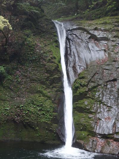 大きな滝が五つもあり，見ごたえがある。オススメのハイキングコースでもある。