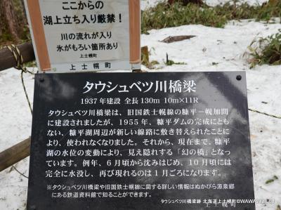 200㎜の望遠レンズではチョット物足りなない距離感なので裸眼では橋の線が見える程度です