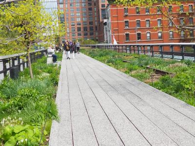 都会の中のほっこりするスポット