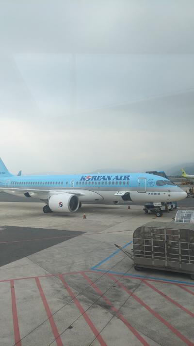 デルタマイルで大韓航空