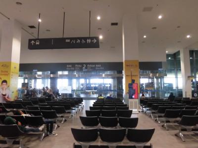 快適な移動手段ではある