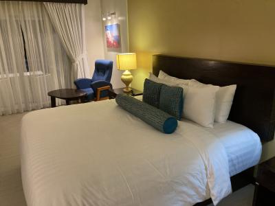 フロント至近の２階、枕付近以外ホテルWiFiが入らなかった。