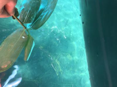 自然の中に抱かれる