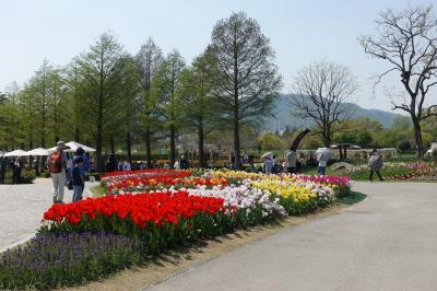 庭園都市・順天を代表する花咲き乱れる庭園