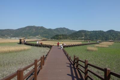 国家庭園とセットで楽しめる