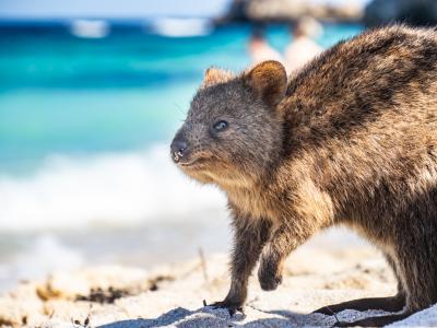 大人気の観光地