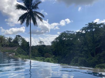 大満足なプール