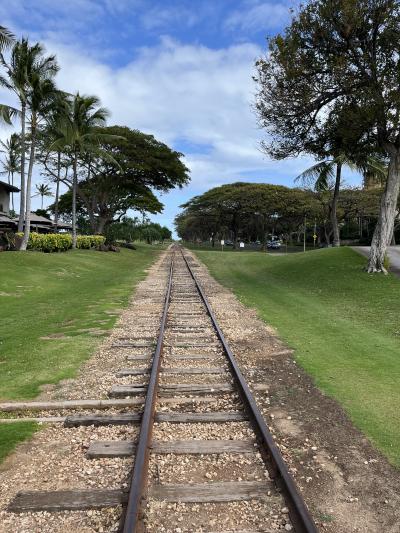 レストランやお買い物が楽しめる
