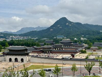 屋上から光化門、景福宮、青瓦台とソウルの象徴が見渡せるスポット♪( ´θ｀)ノ
