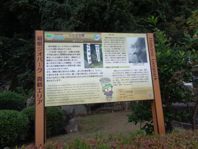 源頼朝が一時隠れていたと言われる海食洞です