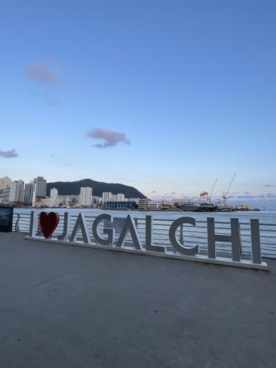 観る分には楽しい