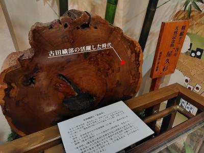 地元の名産品がたくさん！