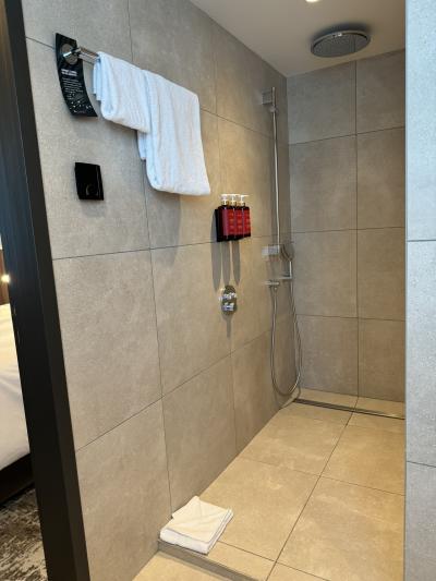 シャワーはレインシャワーとハンド