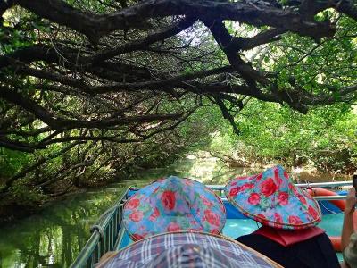 緑の木の枝が横に伸びて、頭上をふさぐ状態。これが「隧道＝トンネル」の訳だった