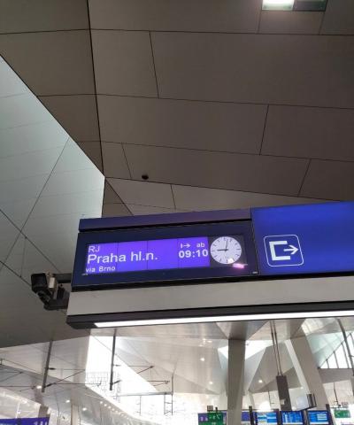 白が明るい雰囲気の