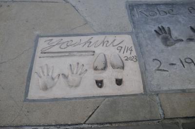 著名人の手形が並んでいます