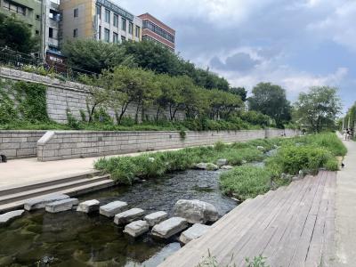 サイクリングロードが整備されています