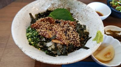 竜宮の鯖