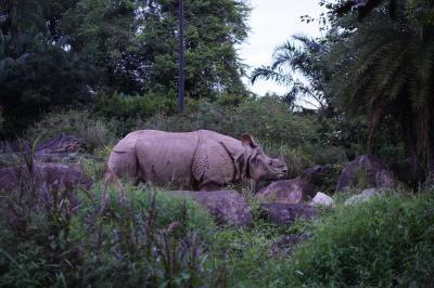 歩きでも楽しめます