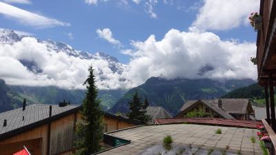 絵画のような景色が広がる