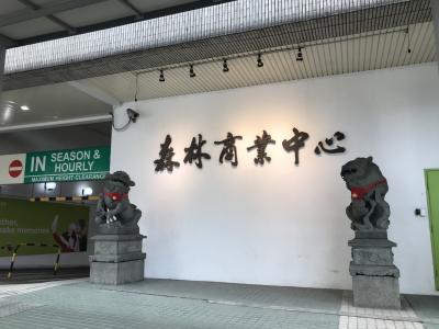 シンガポールの電脳城