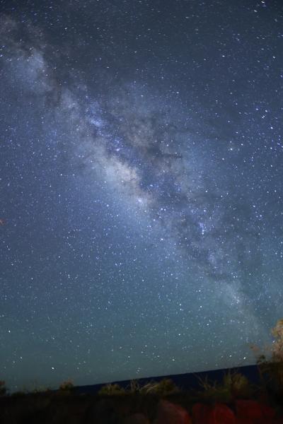 まさにネイチャースクール