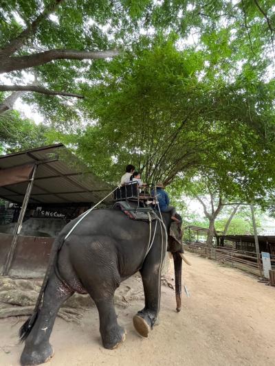 モンチャンカフェでのワンドリンク付きでした