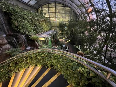 蝶は舞っていなかった！