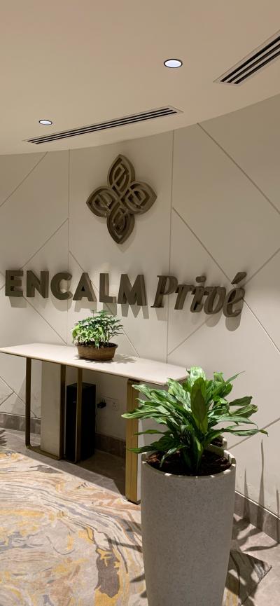 エアインディアラウンジ改修工事のためダイバート