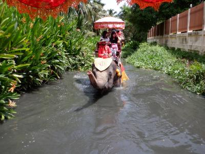 メークローン鉄道市場　から近い象に乗れる施設
