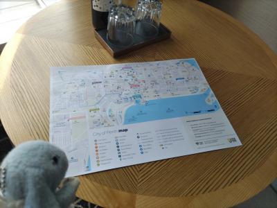 もらったシティマップが活躍！
